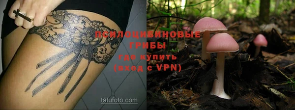 ПСИЛОЦИБИНОВЫЕ ГРИБЫ Балабаново
