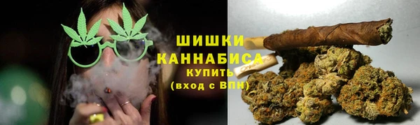 ПСИЛОЦИБИНОВЫЕ ГРИБЫ Балабаново