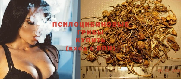 ПСИЛОЦИБИНОВЫЕ ГРИБЫ Балабаново