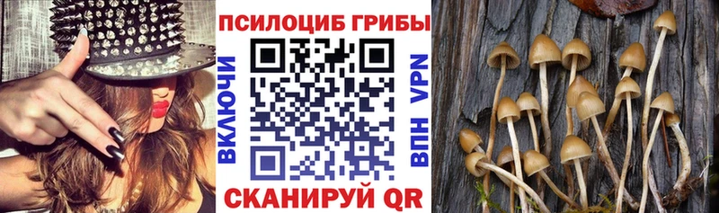 Псилоцибиновые грибы ЛСД  хочу   Гагарин 